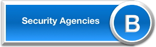Security license of Baron Investigative Group